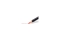 STAEDTLER Farbstift soft 24ST