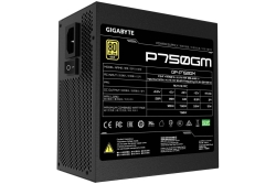 Gigabyte Netzteil P750GM 750Watt