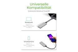 IcyBox Externes Type-C Gehäuse für M.2 NVMe SSD