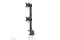 Neomounts TIS 17-49 2TFT 2Gelenke schw. Max.15