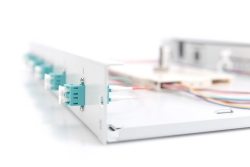 DIGITUS LWL Spleißbox 1HE bestückt 6x LC DX OM3 grau
