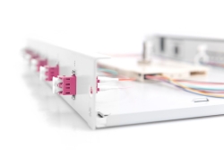 DIGITUS LWL Spleißbox 1HE bestückt 6x LC DX OM4 grau