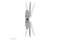 Neomounts WAH 37-85 1TFT 1Gelenk sil. Max.100