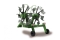 Jamara Schwader Twin Roto 6+