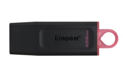USB-Stick 256GB Kingston DataTraveler DTX USB 3.2 (BL/PI)...