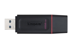 USB-Stick 256GB Kingston DataTraveler DTX USB 3.2 (BL/PI) retail
