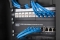 DIGITUS 10 Rangierpanel