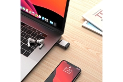 Alogic Adapter USB-C Ultra Mini -> DPort grau