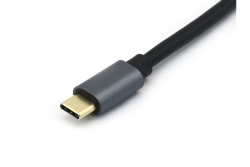 Equip Kabel USB-C3.2->C Gen2 4K PD100W St/St 0.50m schwarz