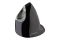 Evoluent Maus VerticalMouse D Rechts medium wireless anthra retail