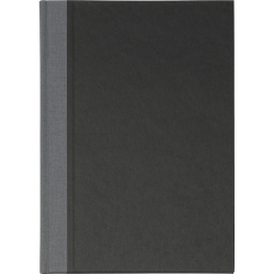 Protokoll-/Konferenzbuch - Speziallineatur, 96 Blatt