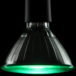 SEGULA LED Reflektor PAR38 grün E27 18W