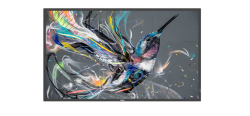PHILIPS Q-Line 32BDL3511Q 81,3cm(32) 18/7/FHD
