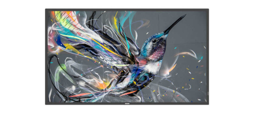 PHILIPS Q-Line 50BDL3511Q 127,0cm(50) 18/7/UHD (Speditionsversand)
