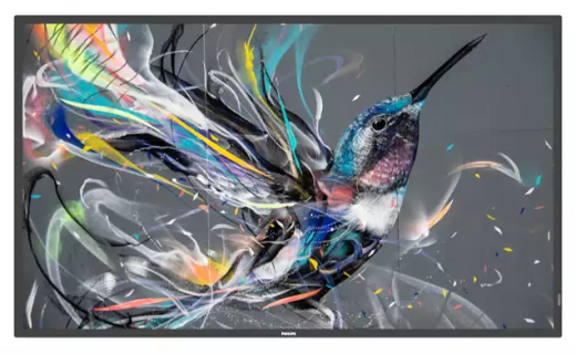 PHILIPS Q-Line 75BDL3511Q 190,5cm(75) 18/7/UHD (Speditionsversand)
