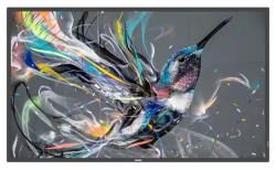 PHILIPS Q-Line 75BDL3511Q 190,5cm(75) 18/7/UHD...