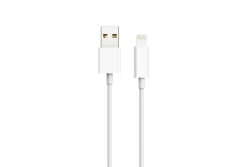2GO Ladegerät 10,5W 1x USB-A inkl. Lightning Kabel -...