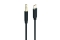 2GO Audiokabel AUX/MP3 USB-C - Stereo 100cm schwarz