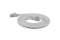 Wantec Patchkabel SSTP CAT7 Ste. CAT6a d=4mm 3,00m grau