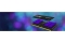 SO DDR5 16GB PC 4800 CL38 Kingston KIT (2x 8GB) FURY Impact retail