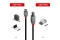 LINDY 0.5m USB 2.0 Typ C an B Kabel, Anthra Line