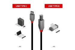 LINDY 1m USB 2.0 Typ C an B Kabel, Anthra Line