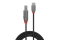 LINDY 1m USB 2.0 Typ C an B Kabel, Anthra Line