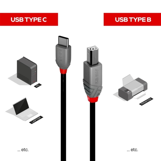 LINDY 2m USB 2.0 Typ C an B Kabel, Anthra Line