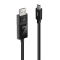 LINDY USB Typ C an Displayport 4K60 Adapterkabel mit HDR 2m