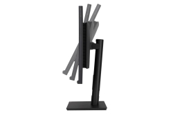 ASUS ProArt PA328QV 80.1cm (16:9) WQHD HDMI DP