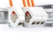 DIGITUS CAT.7 S-FTP Installationskabel, 1200 MHz Dca,25m