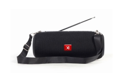 gembird Tragbare Bluetooth-Lautsprecher mit Antenne schwarz