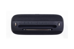 gembird Tragbare Bluetooth-Lautsprecher mit Antenne schwarz