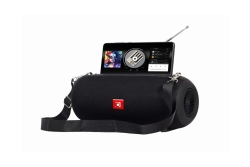 gembird Tragbare Bluetooth-Lautsprecher mit Antenne schwarz
