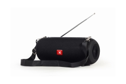 gembird Tragbare Bluetooth-Lautsprecher mit Antenne schwarz