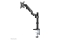 Neomounts TIS 17-27 1TFT 2Gelenk schw. Max.7kg