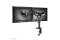 Neomounts TIS 17-27 2TFT 2Gelenk schw. Max.7kg