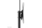 Neomounts BOS 37-70 1TFT schw. Max.50KG AV-Cam