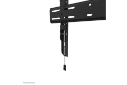 Neomounts WAH 32-65 1TFT schwarz Max.60kg
