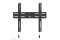Neomounts WAH 32-65 1TFT schwarz Max.60kg