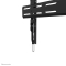 Neomounts WAH 40-82 1TFT schwarz Max.70kg