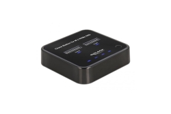 DELOCK M.2 Dockingstation 2x M.2 NVMe PCIe SSD Klon Funktion