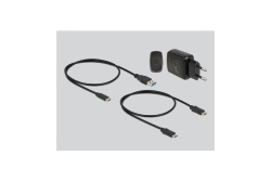 DELOCK M.2 Dockingstation 2x M.2 NVMe PCIe SSD Klon Funktion