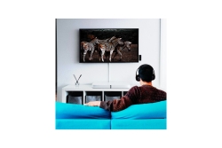 Logilink Bluetooth 5.1 Audiosender, Reichweite bis 7m, schw.