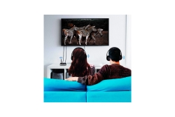 Logilink Bluetooth 5.0 Audiosender und Empfänger, bis 10m