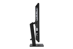 ASUS Business BE24ECSNK 60.5cm (16:9) FHD HDMI DP