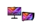 ASUS ProArt OLED PA32DC 80.1cm (16:9) UHD HDMI DP