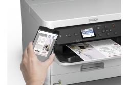 Patrone Epson DURABrite Pro yellow XXL T01D4