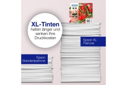 Patrone Epson 503 4er-Pack black + color T09Q6