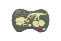 Jamara Dinosaurier Exoraptor Li-ion 3,7V 2,4GHz grün